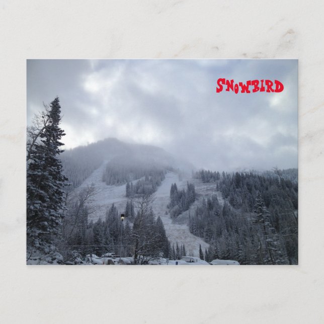 Cartão Postal Snowbird (Frente)