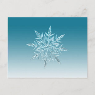 Cartão Postal Snowflake Crystal