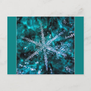 Cartão Postal Snowflake no cartão-postal verde