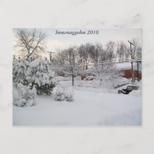 Cartão Postal Snowmaggedon 2010