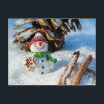 Cartão Postal Snowman Holiday Treat Christmas Cheer<br><div class="desc">Um boneco de neve senta-se em pó fresco de neve que parece alegre e feliz! O boneco de neve está segurando um delicioso biscoito em forma de estrela. Ele está empacotado com cachecol verde e chapéu vermelho e tem um nariz clássico de cenoura cor de laranja. Cones de pinheiro de...</div>