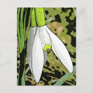 Cartão Postal Snowtoons