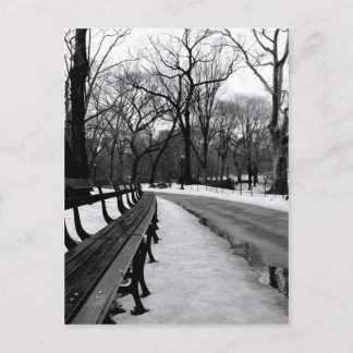 Cartão Postal Snowy Central Park