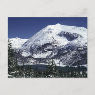Cartão Postal Snowy Colorado Mountain Postcards