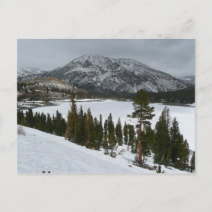 Cartão Postal Snowy Ellery Lake California Fotografia de inverno