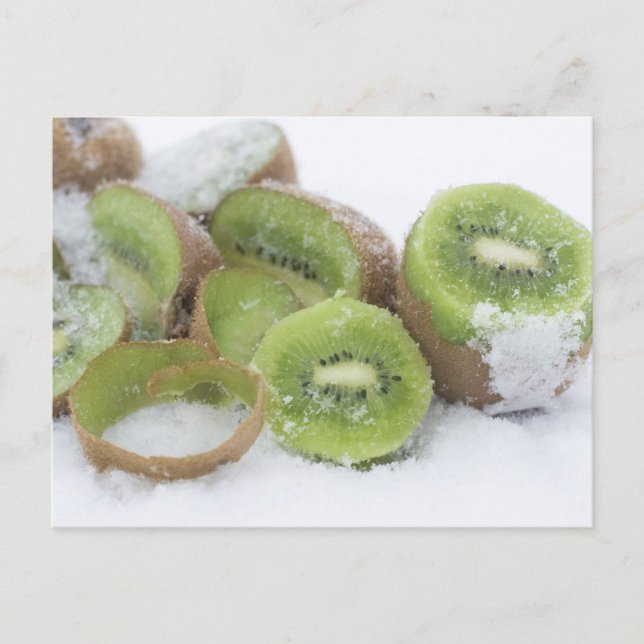 Cartão Postal Snowy Kiwi (Frente)