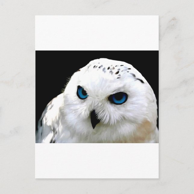 Cartão Postal Snowy Owl (Frente)