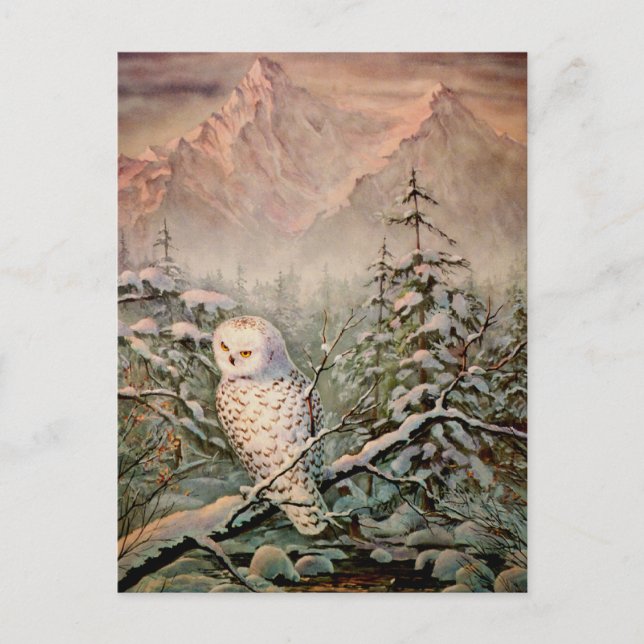 Cartão Postal SNOWY OWL por SHARON SHARPE (Frente)