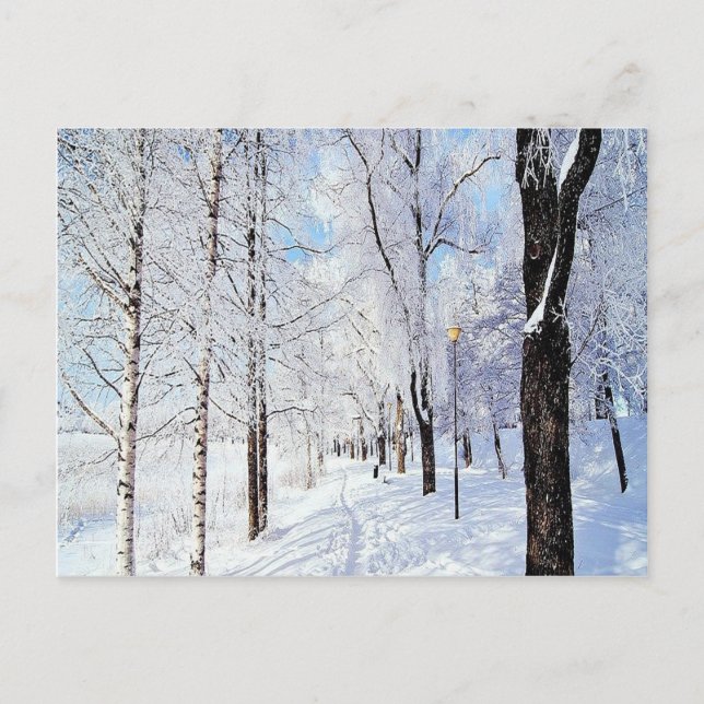 Cartão Postal Snowy Road (Frente)