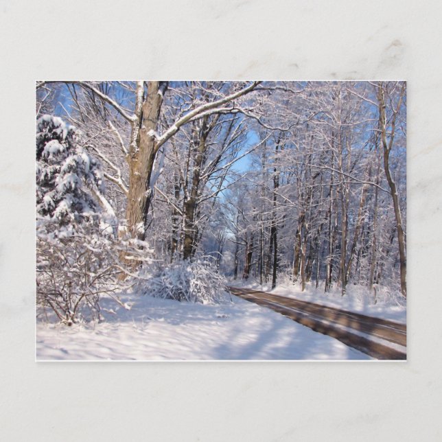 Cartão Postal Snowy Rural Michigan (Frente)