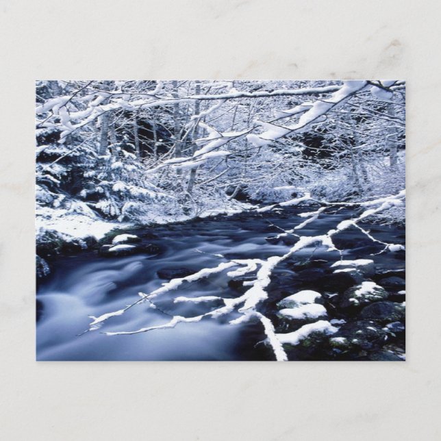 Cartão Postal Snowy Stream - (Frente)