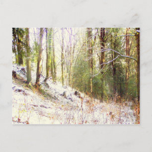 Cartão Postal Snowy Sunlit Forest Glade #2
