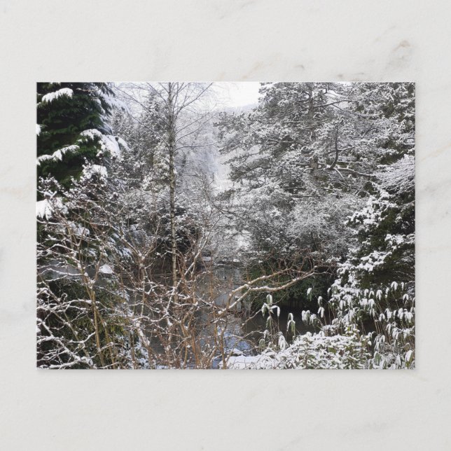 Cartão Postal Snowy Trees Flat (Frente)