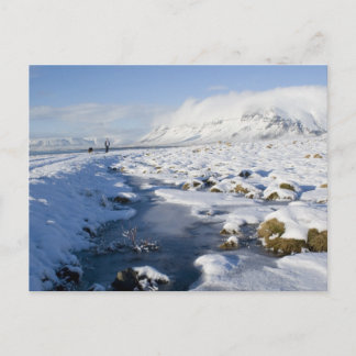 Cartão Postal Snowy Winterland