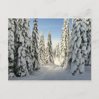 Cartão Postal Snowy Wonderland