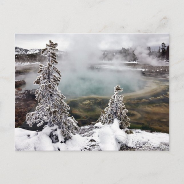 Cartão Postal Snowy Yellowstone (Frente)
