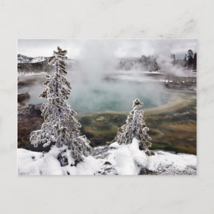 Cartão Postal Snowy Yellowstone