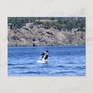 Cartão Postal Só Apanhei Para Dizer Olá!