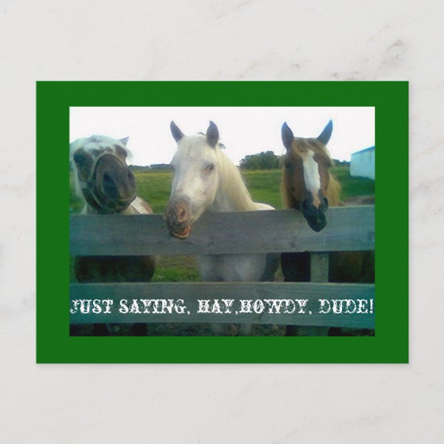 Cartão Postal Só dizendo, feno,como vai, cara! (Frente)