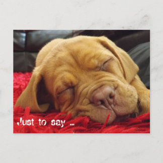 Cartão Postal Só para dizer...