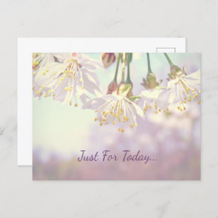 Cartão Postal Só por hoje...