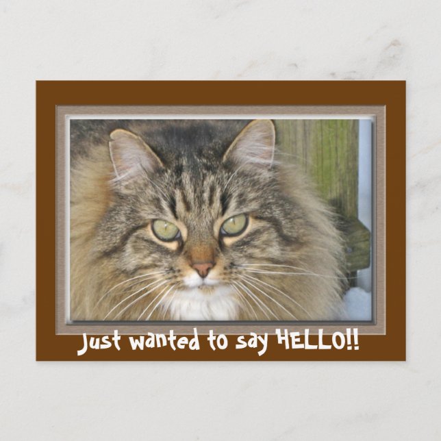 Cartão Postal Só queria dizer OLÁ! (Frente)