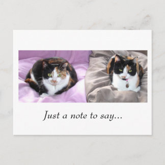 Cartão Postal Só uma nota para dizer...