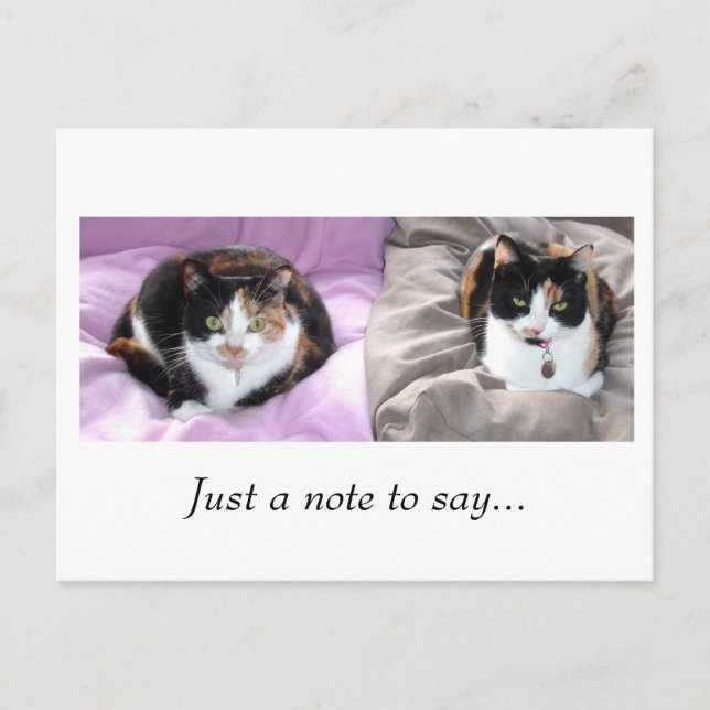 Cartão Postal Só uma nota para dizer... (Frente)