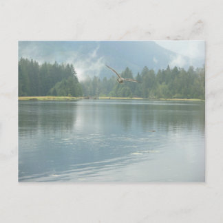 Cartão Postal Soar Livre