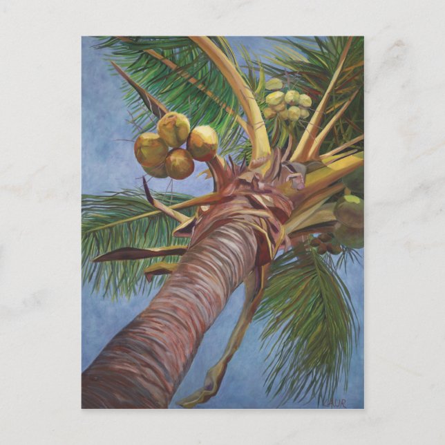 Cartão Postal Sob a árvore de coco (Frente)