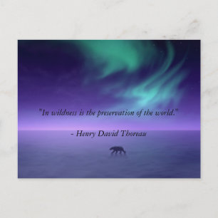 Cartão Postal Sob céus mágicos