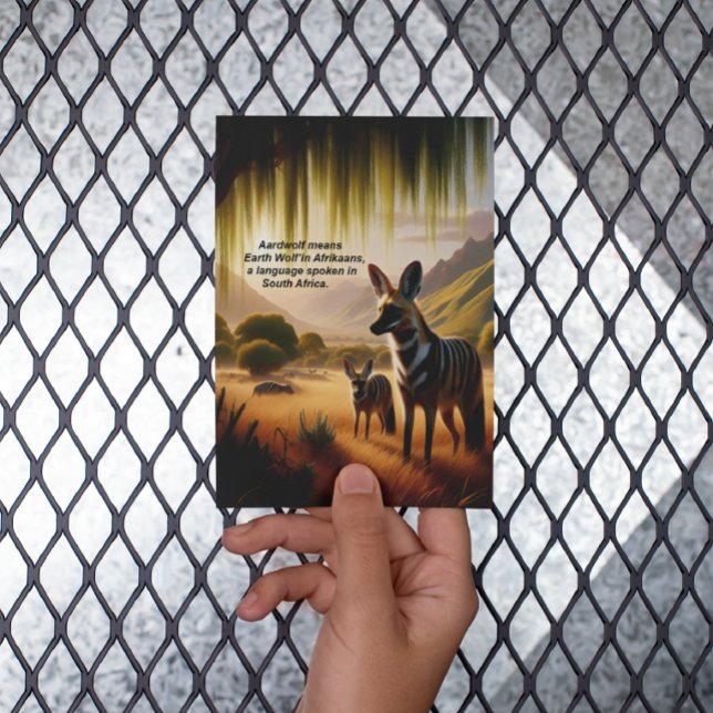 Cartão Postal Soberano Aardwolf Grazing em Lush Grasslands (Criador carregado)