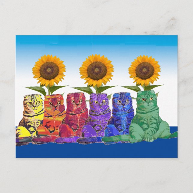 Cartão Postal Sobre os Gatos Arco-Íris (Frente)