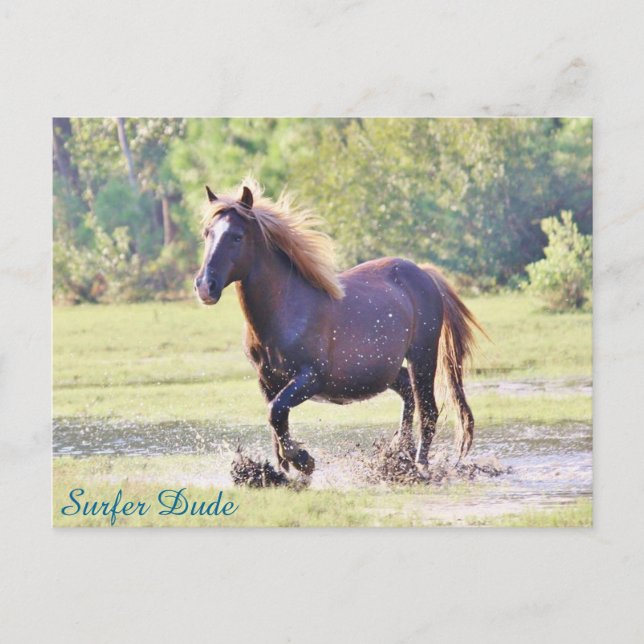 Cartão Postal Sobrevivência Duo (Frente)