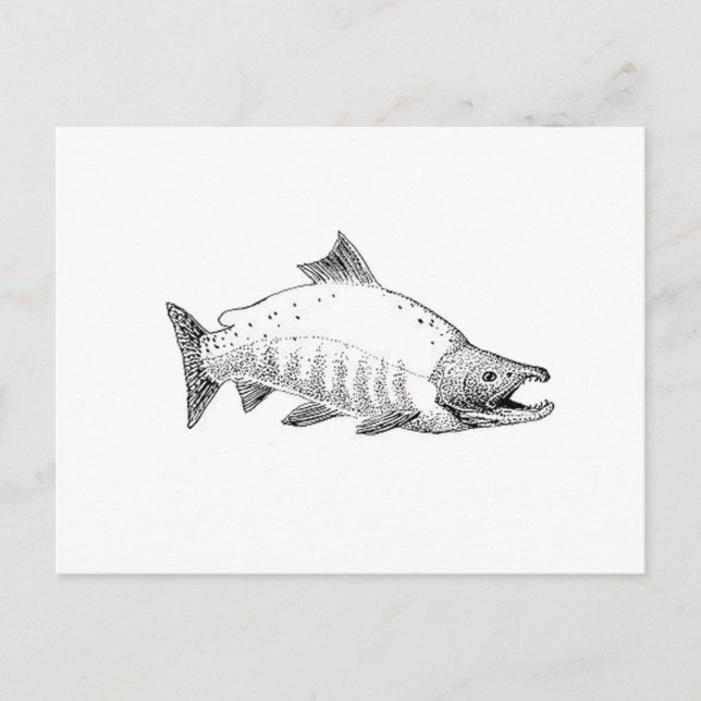 Cartão Postal Sockeye Salmon Line Art (Frente)