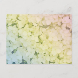 Cartão Postal  Soft Pastel Rainbow Hydrangea