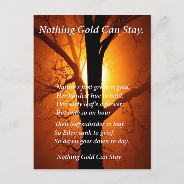 Cartão Postal Sol Atrás (Frente)