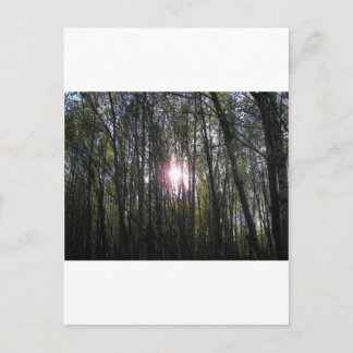 Cartão Postal Sol do Alasca