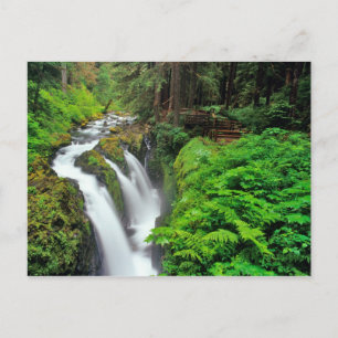 Cartão Postal Sol Duc Falls in Olimpiadas National Park
