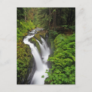 Cartão Postal Sol Duc Falls no Parque Nacional Olympic em
