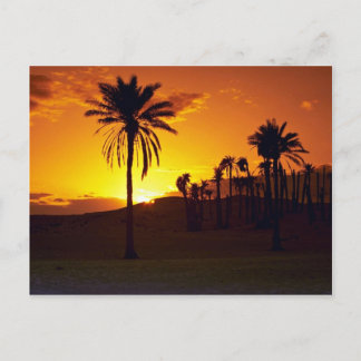 Cartão Postal Sol no deserto, Saara, Deserto da Tunísia