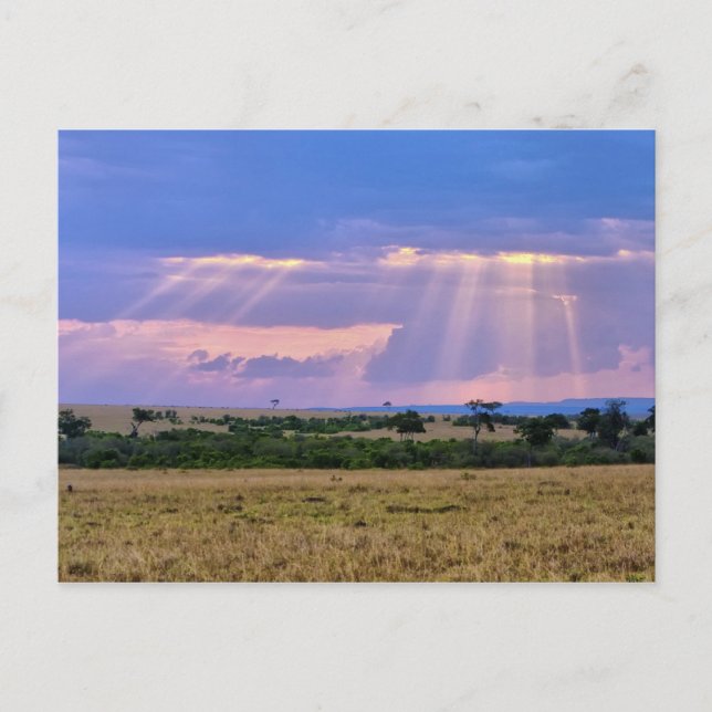 Cartão Postal Sol se pondo no Masai Mara. (Frente)