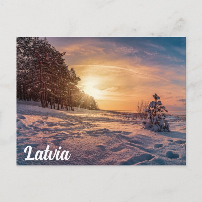 Cartão Postal Sol sobre neve, costa marítima de inverno (Frente)