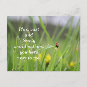 Cartão Postal [Solitário Ladybug] Perdendo Você
