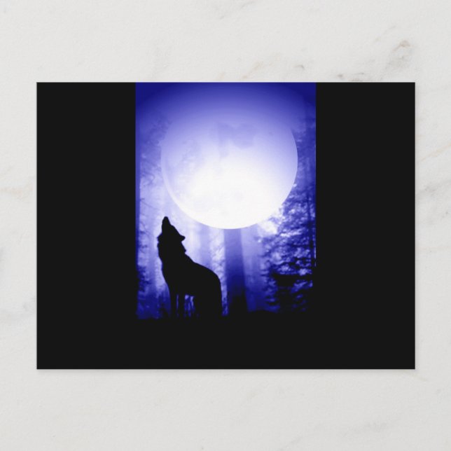 Cartão Postal Solitário Wolf Howling na Lua (Frente)