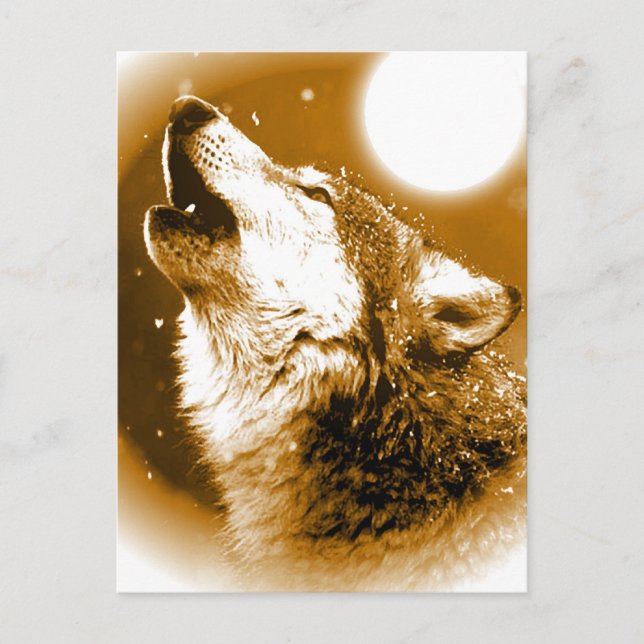 Cartão Postal Solitário Wolf Howling na Lua (Frente)