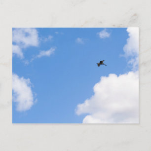 Cartão Postal Solitary Bird Soaring Through Bright Blue Sky with