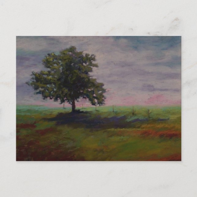 Cartão Postal solo (Frente)