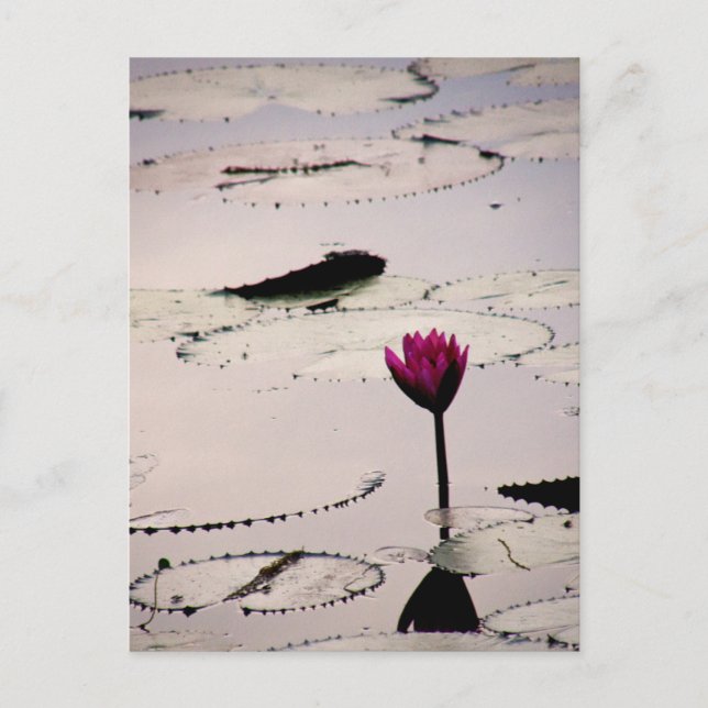 Cartão Postal Solo-tus | Camboja (Frente)