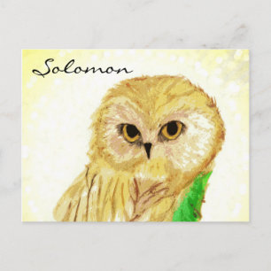 Cartão Postal Solomon the Wise Owl from Sara Books